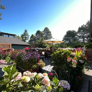 Garden In -beautiful In Gasthof